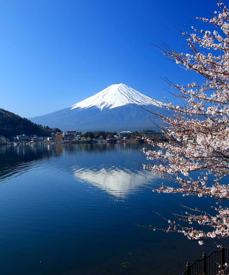 Man sieht einen See und dahinter befindet sich ein großer Vulkan mit weiß bedeckter Spitze, der Fuji heißt.