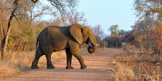 Reiseversicherung Südafrika