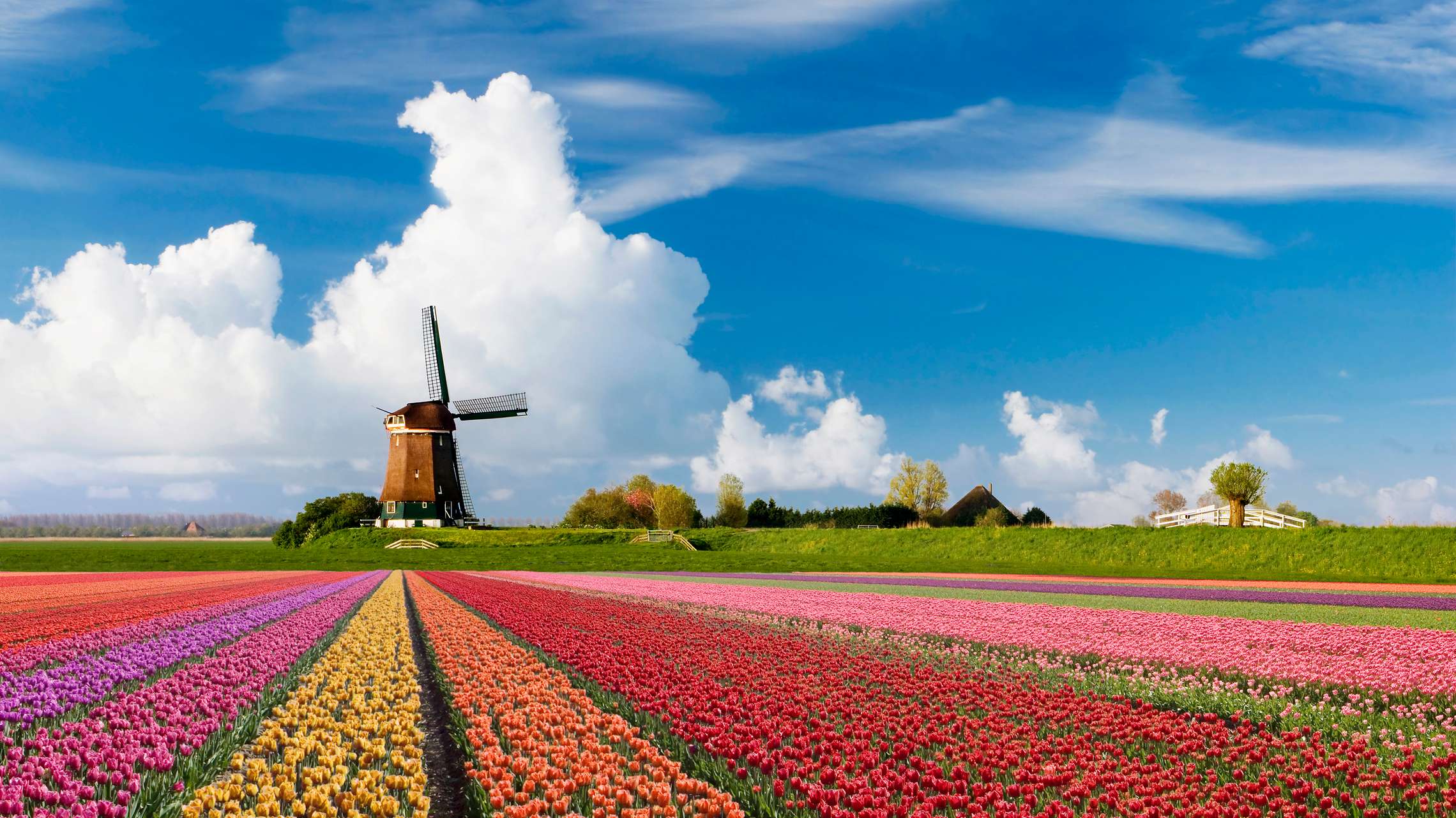 Niederlande: Auslandskrankenversicherung inklusive Reiseschutz buchen