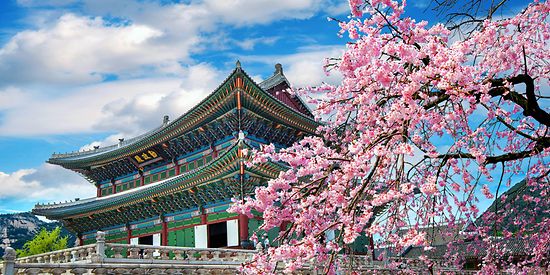 Reiseversicherung Südkorea
